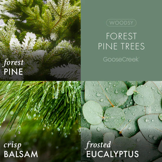 FOREST PINE TREES 6-Piece Wax Melts - Goose Creek Candle