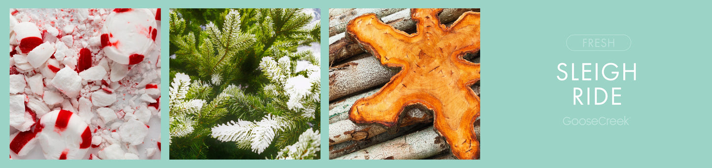 SLEIGH RIDE 6-Piece Wax Melts - Goose Creek Candle