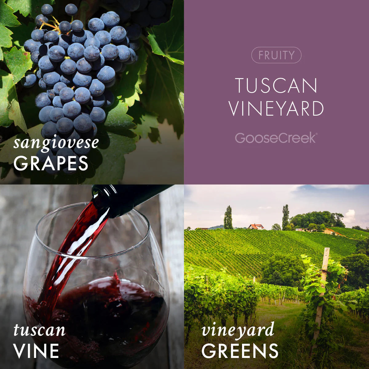 TUSCAN VINEYARD 6-Piece Wax Melts - Goose Creek Candle