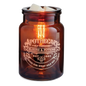 APOTHECARY VINTAGE BULB ILLUMINATION FRAGRANCE WARMER - Candle Warmers, Etc