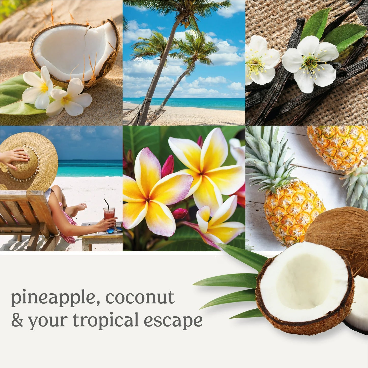 COCONUT BEACH 6-Piece Wax Melts - Yankee Candle