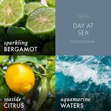 DAY AT SEA 6-Piece Wax Melt - Goose Creek Candle
