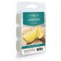 LEMON SUGAR CLASSIC 6-Piece Wax Melts - Candle Warmers Etc.