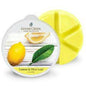 LEMON & LEAVES 6-Piece Wax Melt - Goose Creek Candle