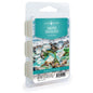 SALTED SEA GLASS 6-Piece Wax Melts - Candle Warmers Etc.