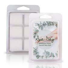 SPA DAY RELAXING AROMA THERAPY EUCALYPTUS 6-Piece Wax Melts - The Candle Daddy