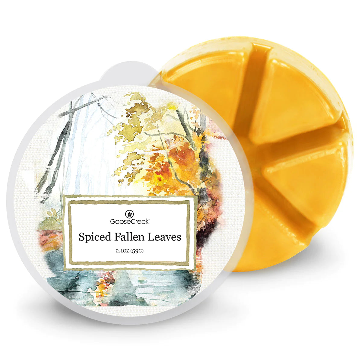 SPICED FALLEN LEAVES 6-Piece Wax Melts - Goose Creek Candle