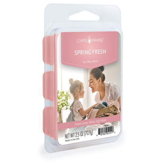SPRING FRESH 6-Piece Wax Melts - Candle Warmers, Etc.