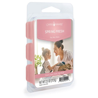 SPRING FRESH 6-Piece Wax Melts - Candle Warmers, Etc.