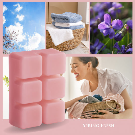 SPRING FRESH 6-Piece Wax Melts - Candle Warmers, Etc.