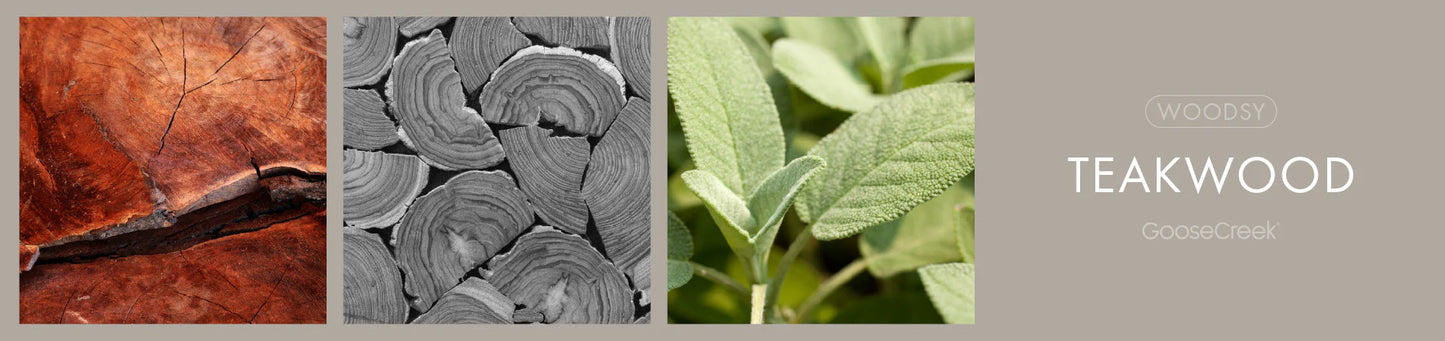 TEAKWOOD 6-Piece Wax Melt - Goose Creek Candle