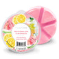 WATERMELON LEMONADE 6-Piece Wax Melts***Odor Eliminator*** - Goose Creek Candle